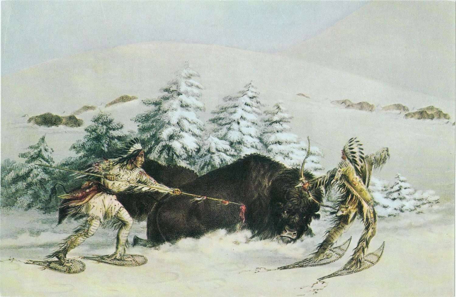 Bison Hunting in Winter